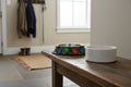 Stainless steel dog dishes hand painted