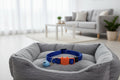 CAT COLLARS
