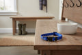 CHIHUAHUA COLLARS