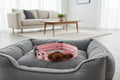 JOKER COLLARS LARGE BREEDS